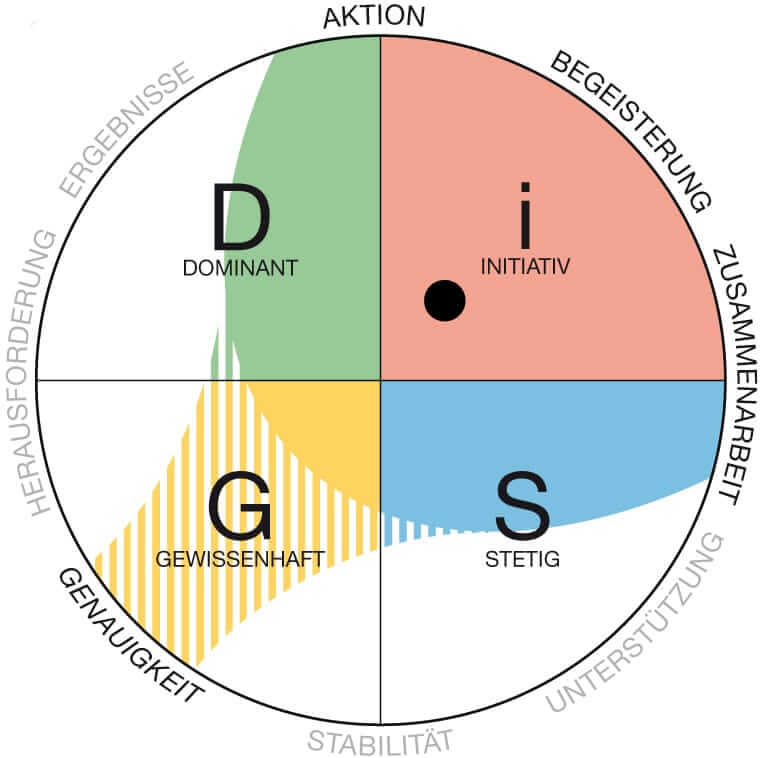 individuelles DiSG Profil
